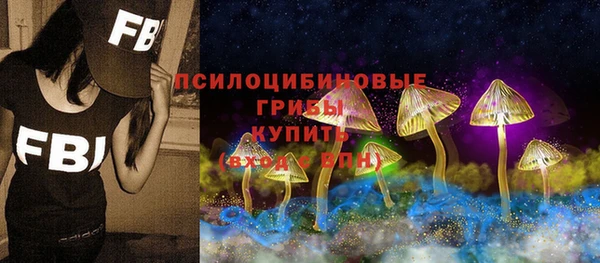 MESCALINE Аркадак