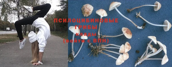 круглые Армянск