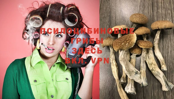круглые Армянск