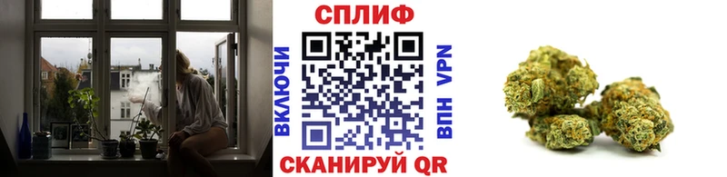 закладка  Миллерово  Каннабис индика 